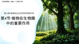 4.11.4  植物在生物圈中的重要作用 課件 生物蘇教版（2024）七年級(jí)下冊(cè)第4單元