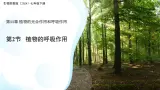 4.11.2植物的呼吸作用 课件 生物苏教版（2024）七年级下册第4单元
