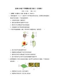 生物七年级下学期期末复习练习（人教版）