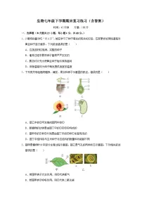 生物七年级下学期期末复习练习（人教版）