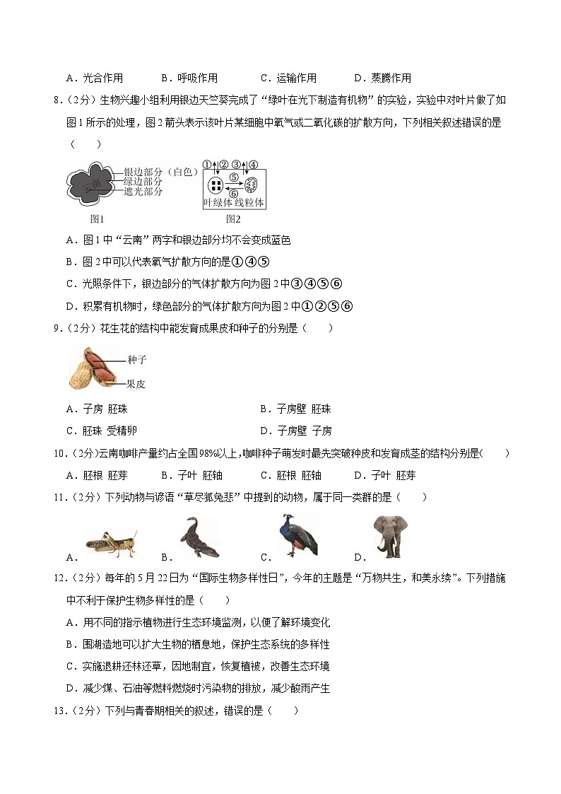 2025年云南省中考生物试卷及答案第2页