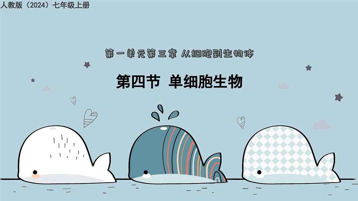 1.3.4单细胞生物(教学课件)——初中生物人教版(2024)七年级上册课件第1页