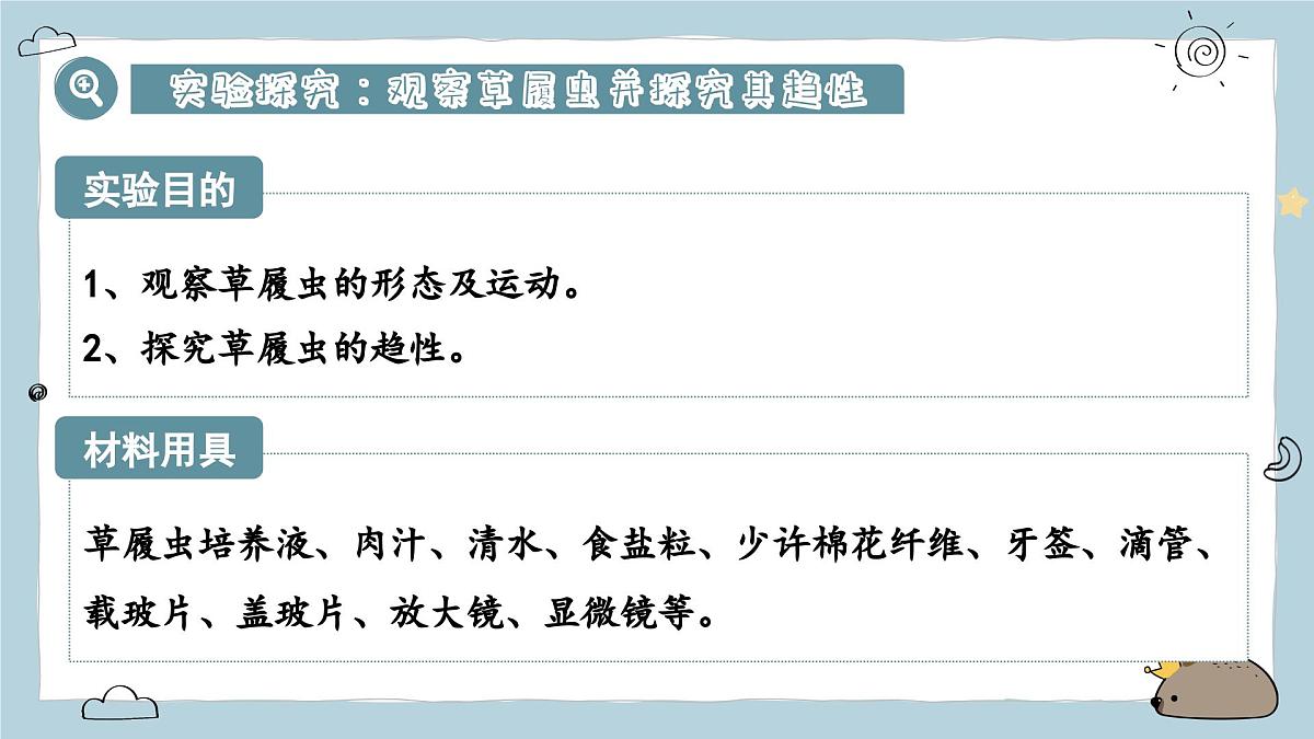 1.3.4单细胞生物(教学课件)——初中生物人教版(2024)七年级上册课件第5页