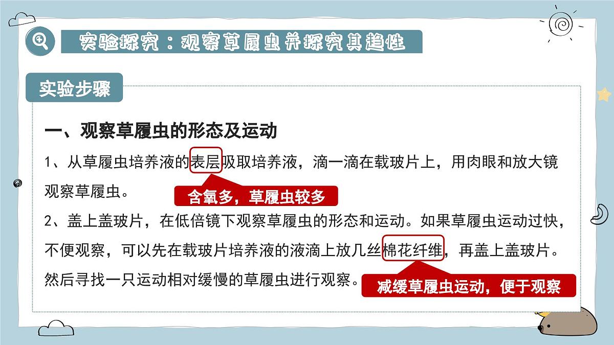 1.3.4单细胞生物(教学课件)——初中生物人教版(2024)七年级上册课件第6页