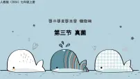 初中生物人教版（2024）七年级上册（2024）真菌教学ppt课件