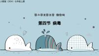 人教版（2024）七年级上册（2024）病毒教学ppt课件