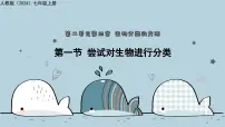 生物七年级上册（2024）尝试对生物进行分类教学课件ppt