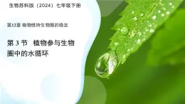 5.12.3 植物參與生物圈中的水循環(huán) 課件 生物蘇科版（2024）七年級下冊第五單元