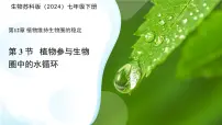 初中生物苏科版(2024)七年级下册(2024)植物参与生物圈中的水循环课文配套ppt课件
