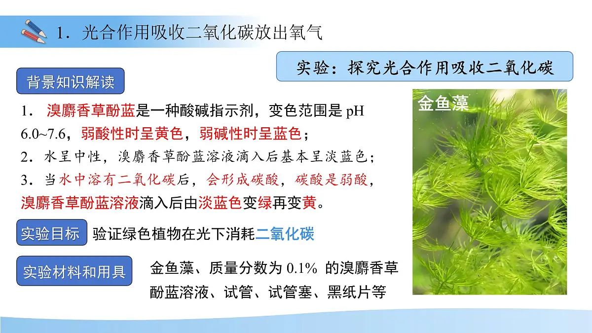 5.12.2 植物维持生物圈中的碳氧平衡 第1课时课件 生物苏科版(2024)七年级下册第五单元第7页