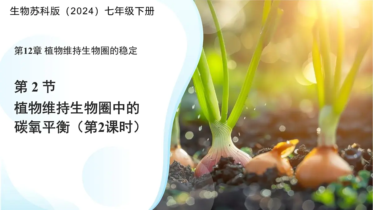 5.12.2 植物维持生物圈中的碳氧平衡 第2课时课件 生物苏科版(2024)七年级下册第五单元第1页