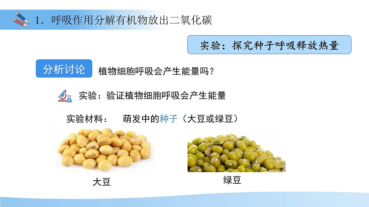 5.12.2 植物维持生物圈中的碳氧平衡 第2课时课件 生物苏科版(2024)七年级下册第五单元第4页
