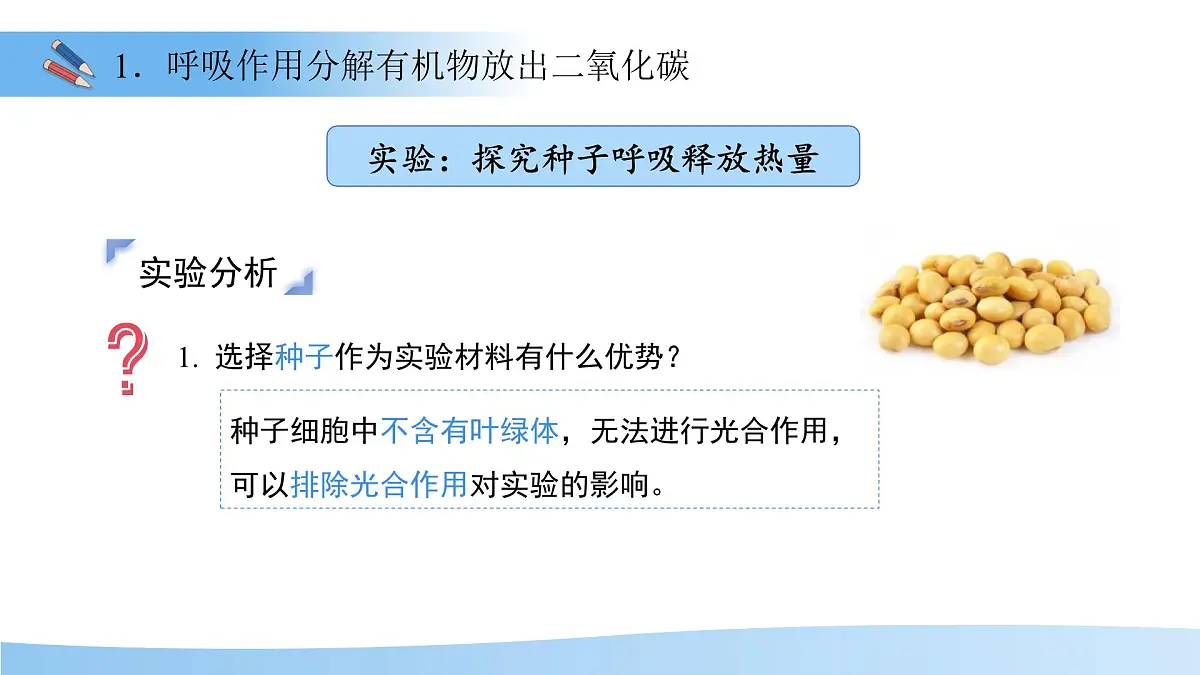 5.12.2 植物维持生物圈中的碳氧平衡 第2课时课件 生物苏科版(2024)七年级下册第五单元第6页