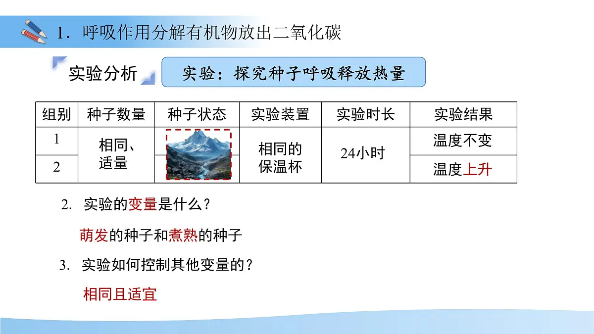 5.12.2 植物维持生物圈中的碳氧平衡 第2课时课件 生物苏科版(2024)七年级下册第五单元第7页