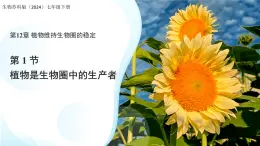 5.12.1 植物是生物圈中的生產(chǎn)者 課件 生物蘇科版（2024）七年級下冊第五單元