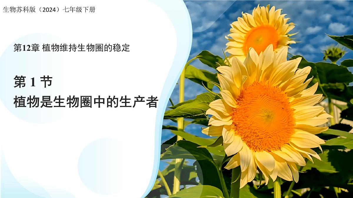5.12.1 植物是生物圈中的生产者 课件 生物苏科版(2024)七年级下册第五单元第1页