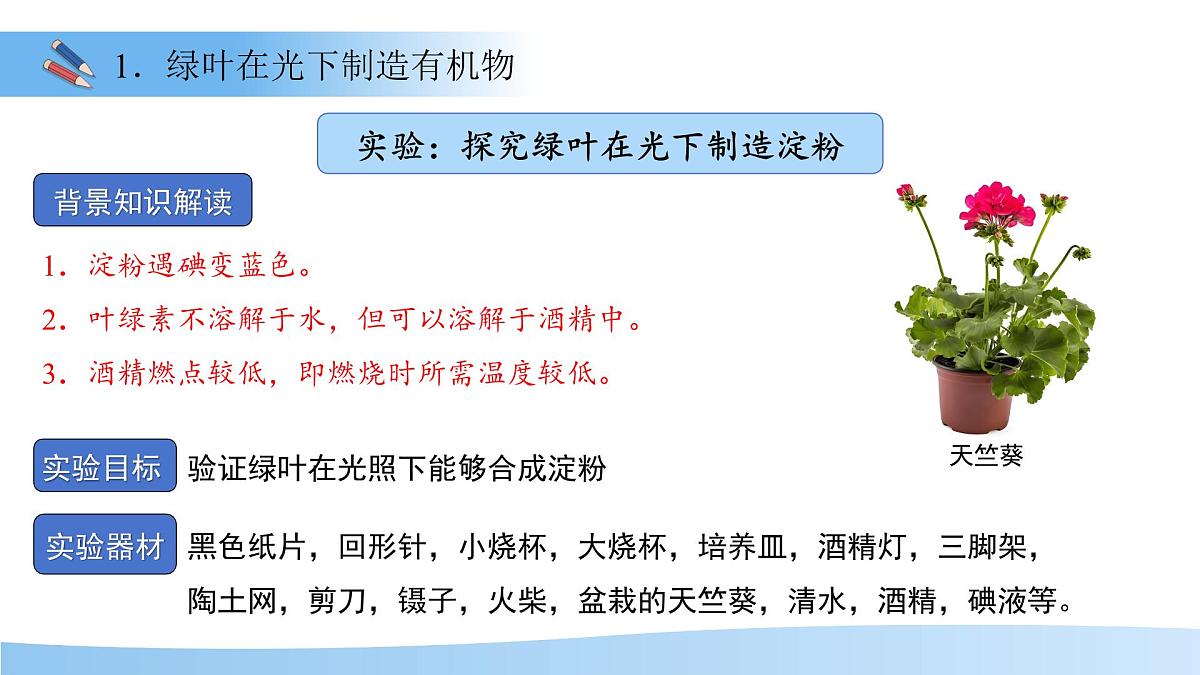 5.12.1 植物是生物圈中的生产者 课件 生物苏科版(2024)七年级下册第五单元第7页
