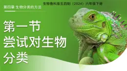 3.4.1 嘗試對生物分類 課件 生物魯科版五四制（2024）六年級下冊