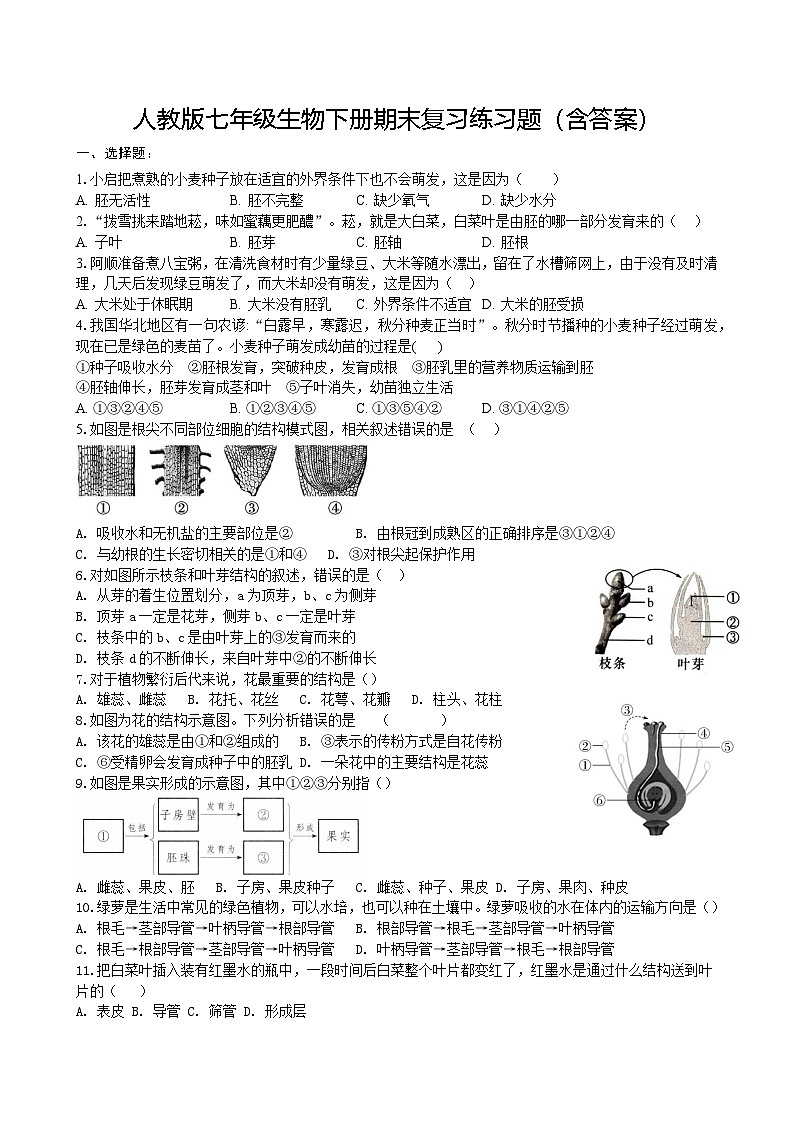 人教版七年級(jí)生物下冊(cè)期末復(fù)習(xí)練習(xí)題(含答案)第1頁