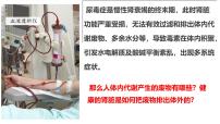 人教版（2024）七年级下册人体内废物的排出优质ppt课件