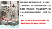 人教版（2024）七年级下册人体内废物的排出优质ppt课件