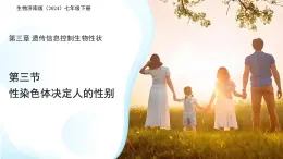 4.3.3性染色體決定人的性別 課件 生物濟(jì)南版（2024）七年級(jí)下冊(cè)第四單元