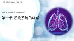 4.3.1 呼吸道對空氣的處理 課件 生物人教版（2024）七年級下冊第四單元