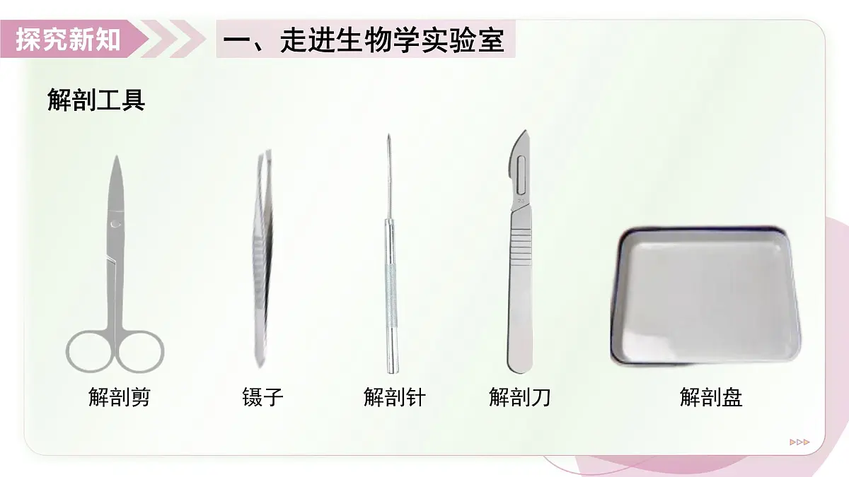 1.2 生物学研究的基本方法 第1课时(教学课件)-2025-2026学年七年级生物上册(苏科版2024)第6页