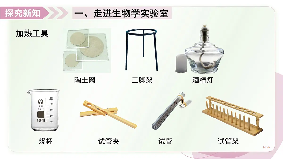 1.2 生物学研究的基本方法 第1课时(教学课件)-2025-2026学年七年级生物上册(苏科版2024)第7页