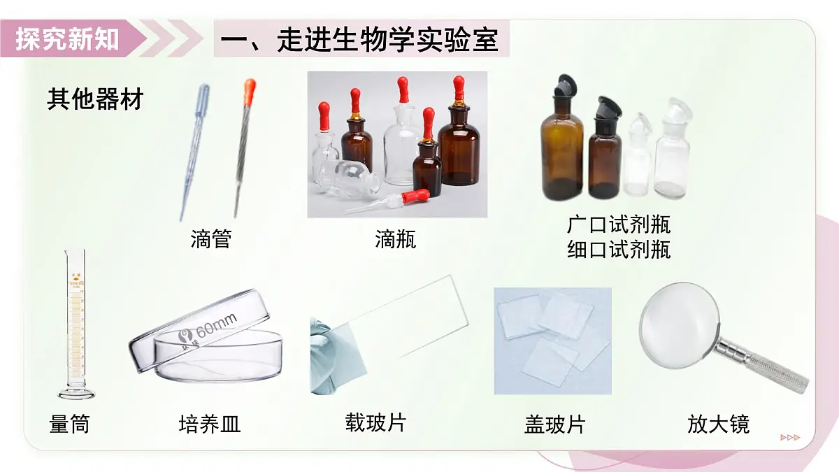 1.2 生物学研究的基本方法 第1课时(教学课件)-2025-2026学年七年级生物上册(苏科版2024)第8页