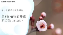 5.11.3 植物的開花和結(jié)果 第1課時課件  生物蘇科版（2024）七年級下冊第五單元