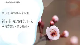 5.11.3 植物的開花和結(jié)果 第2課時課件  生物蘇科版（2024）七年級下冊第五單元
