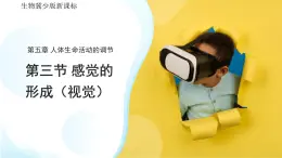 3.5.3感覺的形成——視覺 課件 生物冀少版（2024）七年級下冊第三單元