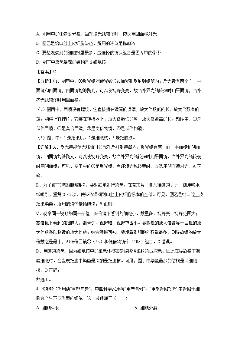 2025年江苏省盐城市建湖县八年级中考模拟生物试卷(解析版)第3页