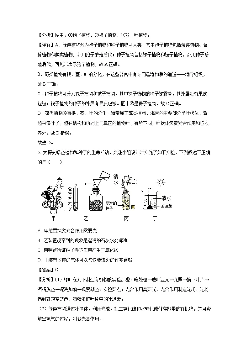 2025年黑龙江省齐齐哈尔市八年级中考模拟生物试卷(解析版)第3页