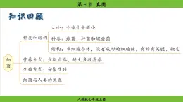 2025秋人教版(2024)生物七年級上冊課件 第2單元 第3章 第三節(jié) 真菌