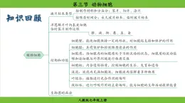 2025秋人教版(2024)生物七年級上冊課件 第1單元 第2章 第三節(jié) 動物細胞