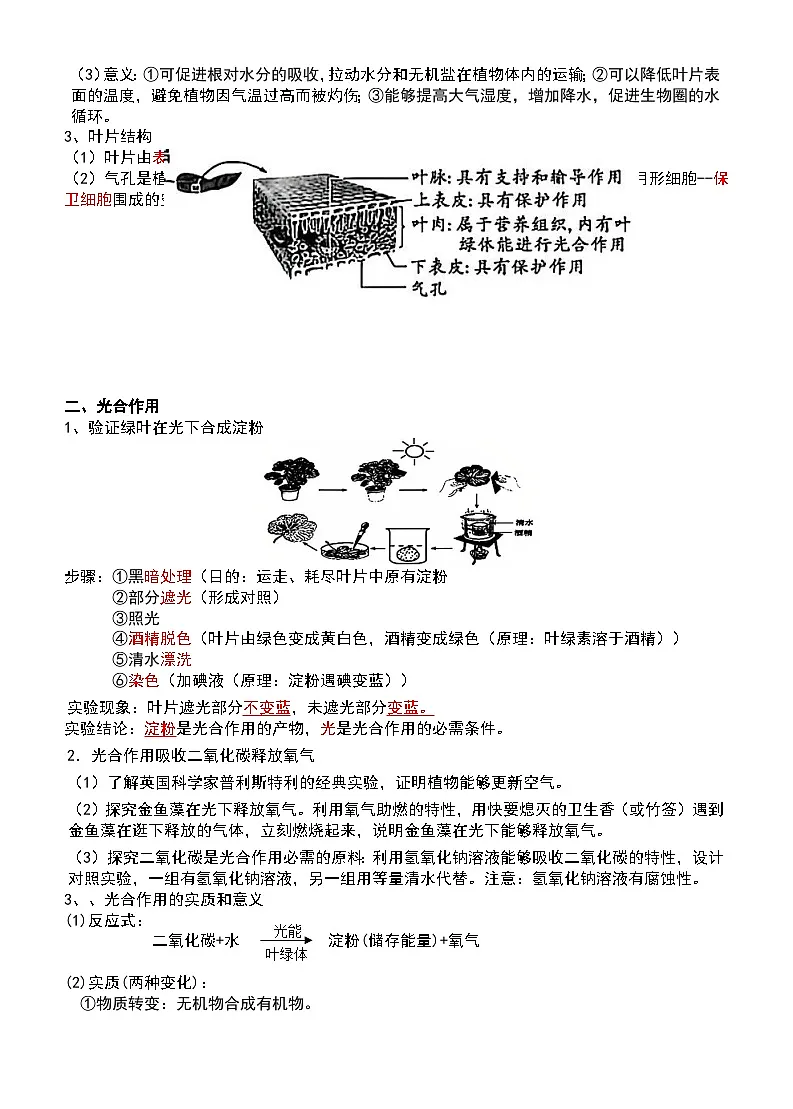 人教版(2024)七年级下册生物期末复习全册考点背诵提纲 学案第3页