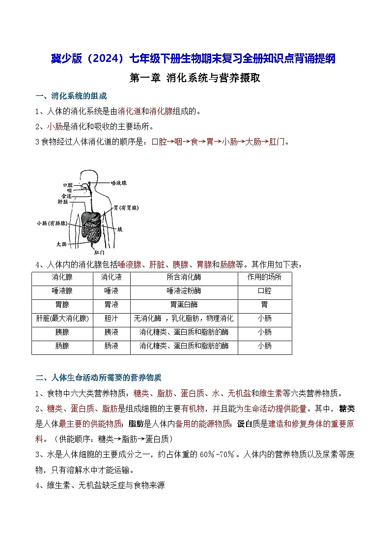 冀少版(2024)七年级下册生物期末复习全册知识点背诵提纲 学案第1页