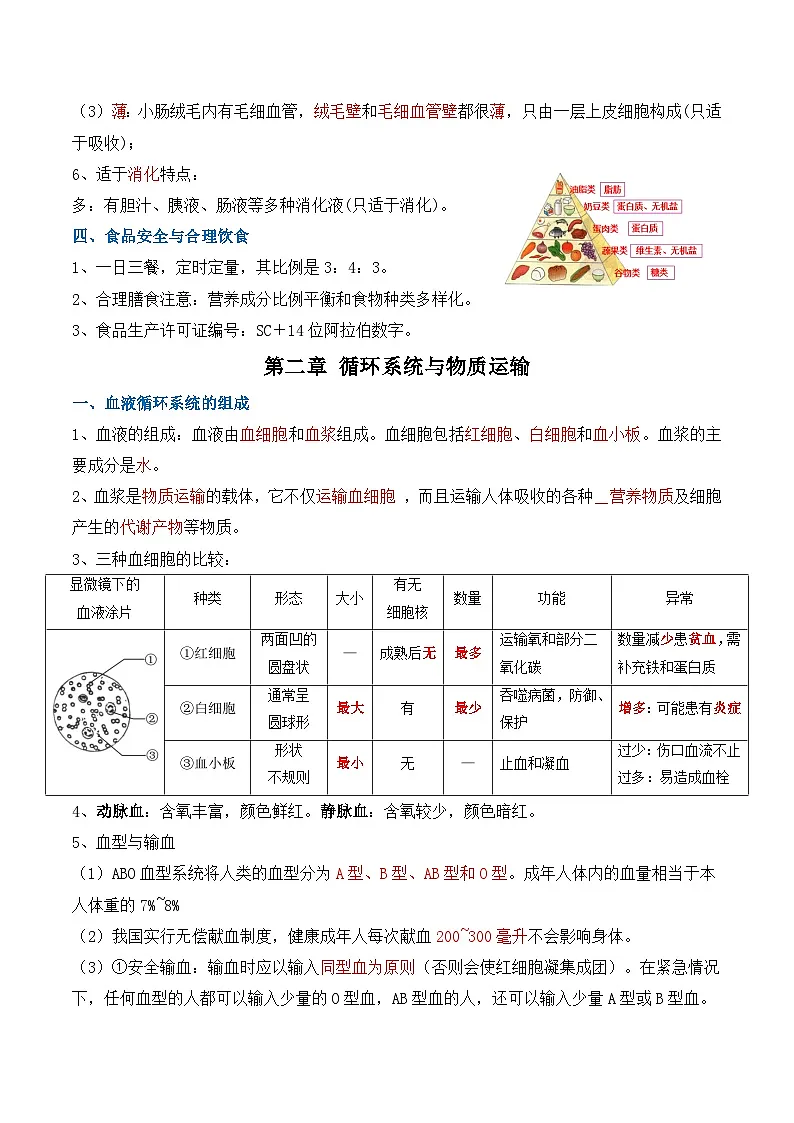 冀少版(2024)七年级下册生物期末复习全册知识点背诵提纲 学案第3页