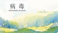 初中生物人教版(2024)七年级上册(2024)病毒一等奖课件ppt