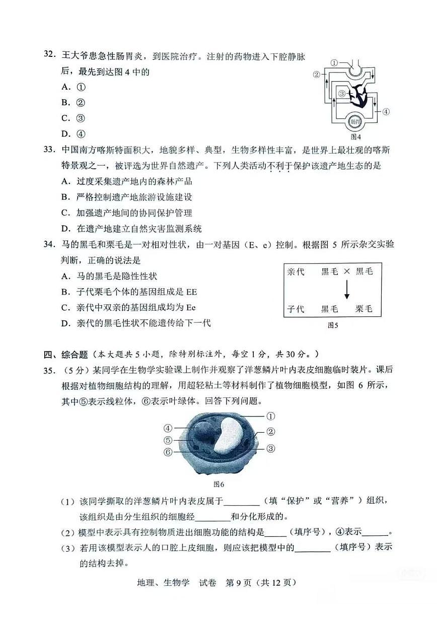 2025年廣西中考生物真題含答案第3頁
