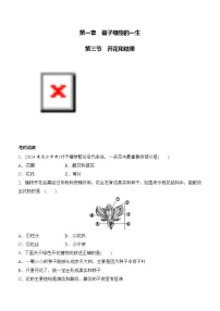 人教版（2024）七年级下册（2024）开花和结果精品一课一练