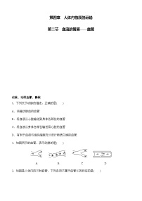 生物七年级下册（2024）血流的管道—血管精品一课一练