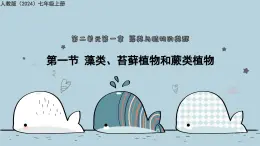 2.1.1藻類與植物的類群（教學(xué)課件）——初中生物人教版（2024）七年級(jí)上冊(cè)課件