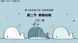 2.2.2（三）鳥（教學(xué)課件）——初中生物人教版（2024）七年級(jí)上冊(cè)課件