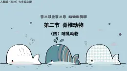 2.2.2（四）哺乳動(dòng)物（教學(xué)課件）——初中生物人教版（2024）七年級(jí)上冊(cè)課件