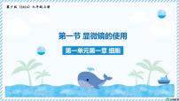 冀少版（2024）七年级上册（2024）显微镜的使用教学课件ppt