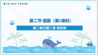 冀少版（2024）七年级上册（2024）细菌教学ppt课件