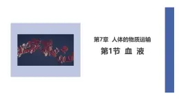 初中  生物  北師大版（2024）  七年級(jí)下冊(cè)4.7.1 血液 課件